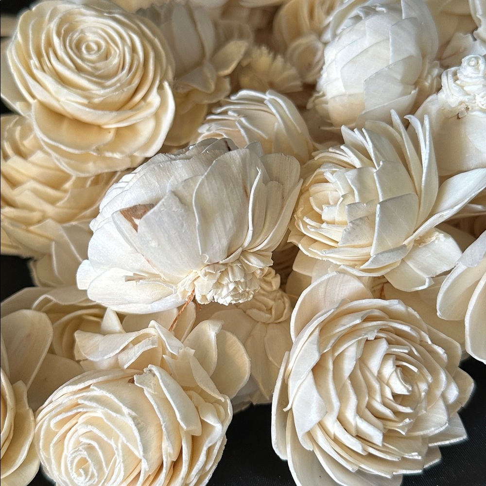 Wood Sola Flowers - assorted bag of 25 for weddings crafts wreaths - Picture 10 of 12